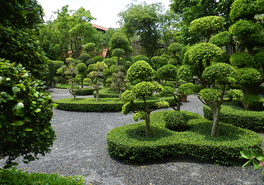 Taille artistique dite topiaire d'arbres et arbustes dans un jardin avec allées gravillonnées