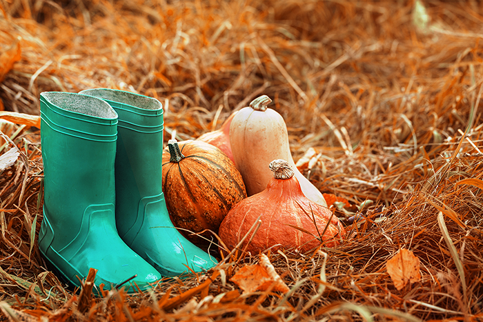 Courges et bottes de pluie sur feuilles mortes et foin