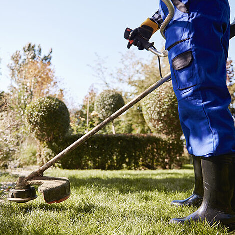 Personne utilisant une débroussailleuse dans un jardin entretenu aux arbres en taille topiaire